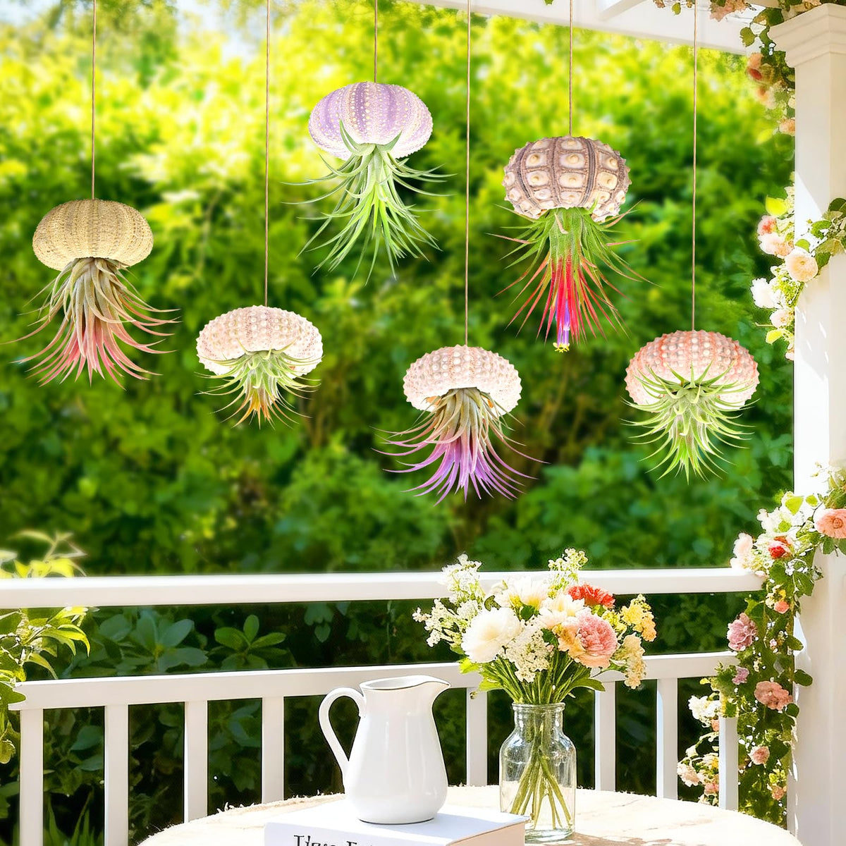 Woosytoo natural shells adding pastel tones to a windowsill display