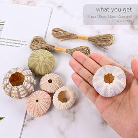 Woosytoo jellyfish-like planter shells ideal for bathroom or balcony spaces