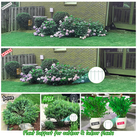 woowellgogogo tomato bean support ring—neat, reusable garden aid