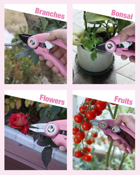 Daily garden tasks performed with WORKPRO shears for trimming herbs
