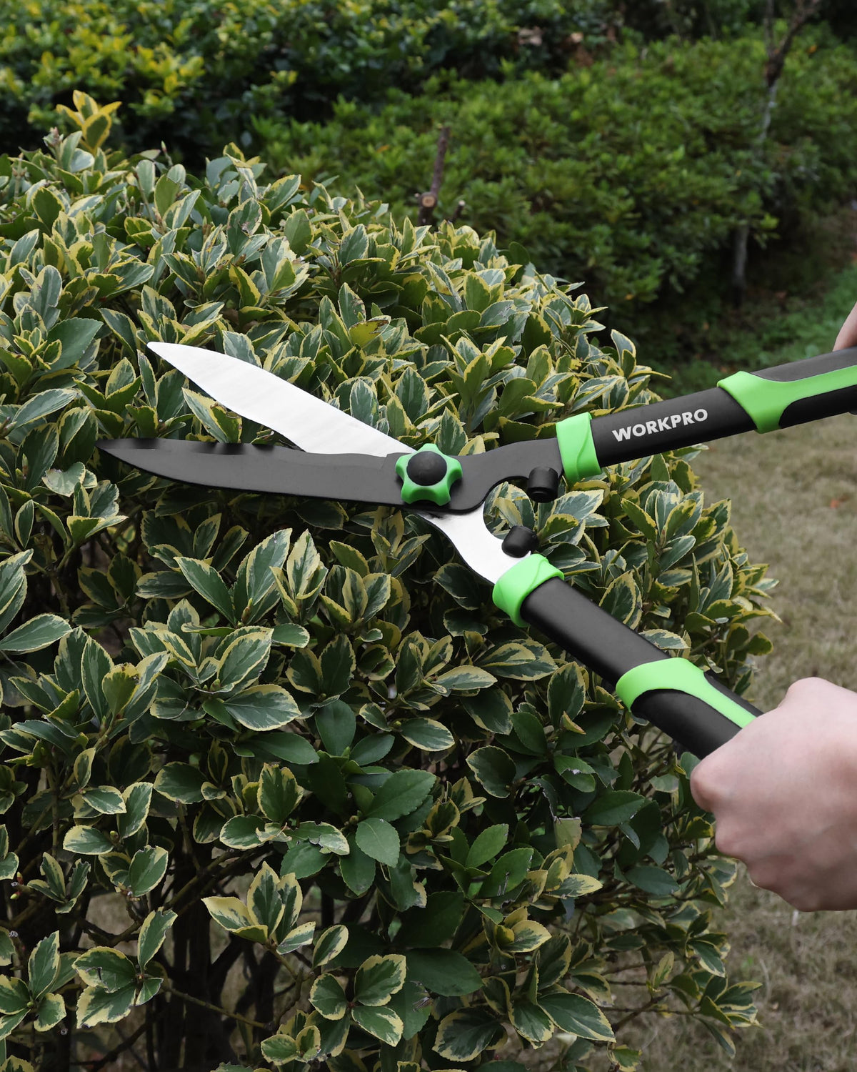 WORKPRO hedge trimming in action shows versatile pruning set.