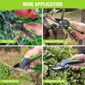 In-use scene pruning deadwood with accuracy