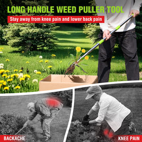 WORKPRO weed puller lightweight stainless steel for daily garden use.