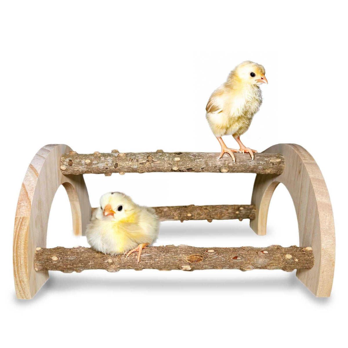WORLEYX baby chicken perch natural-wood two-pack improves safe perching in small coops.
