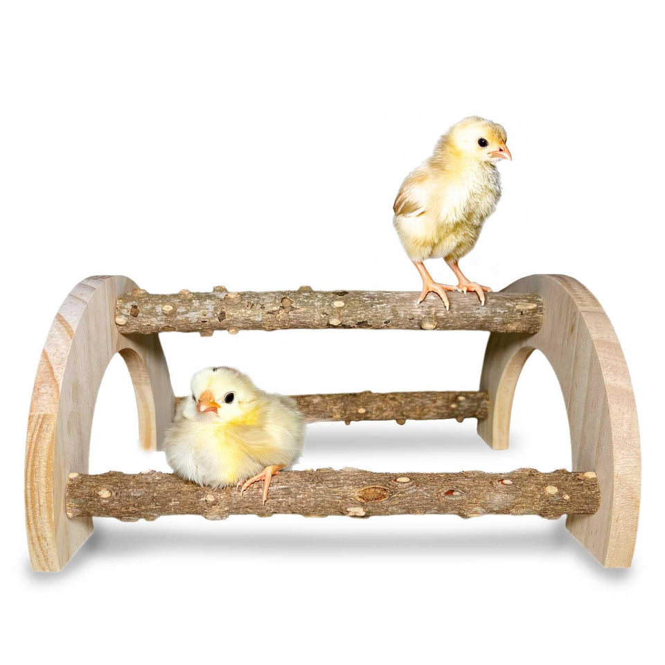 WORLEYX baby chicken perch natural-wood two-pack improves safe perching in small coops.