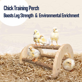 WORLEYX chick-perch-spaced-rungs promotes easy climbing for tiny chicks.