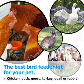 Cozy, reliable watering from WORLEYX cups supports daily flock care.