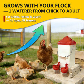 WORLEYX Anti-roost lid helps keep water tidy in the coop.