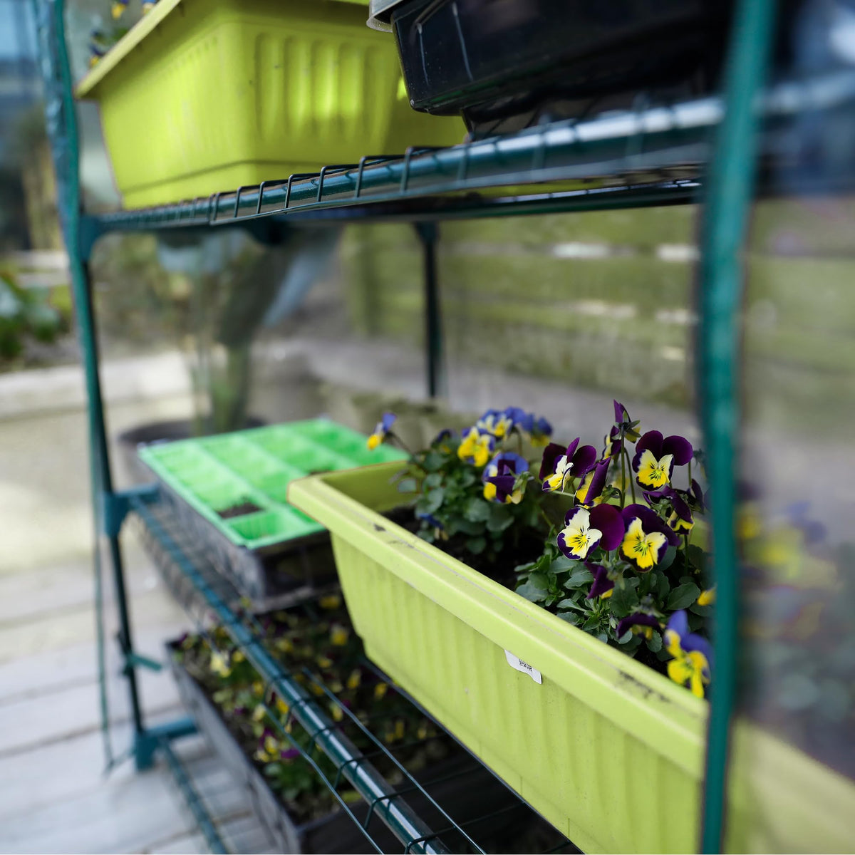 Worth Garden indoor-outdoor use setup on balcony or patio