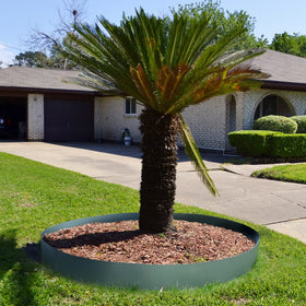 Worth landscape edging provides clean borders to contain mulch and soil.