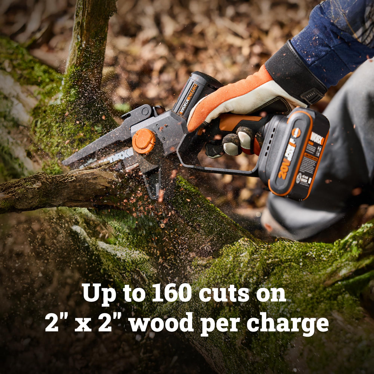 WORX extension pole attachment showing reach to high branches.