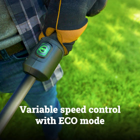WORX suitable for yards up to ¼ acre with efficient trimming.