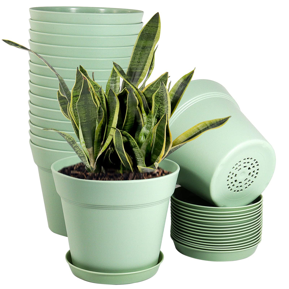 WOUSIWER 16-pack 6-inch planters for versatile indoor gardening and easy potting setups