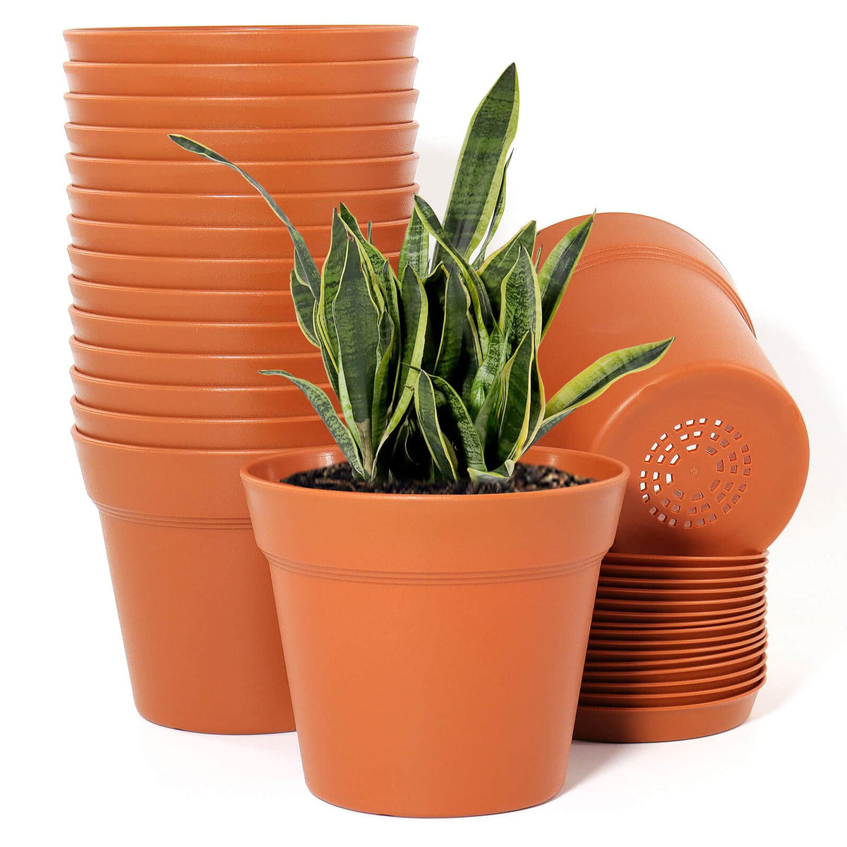 WOUSIWER 16-pack planter and tray set for organized indoor gardening.