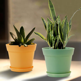 WOUSIWER 6-inch pot with dimensions and planning guidance