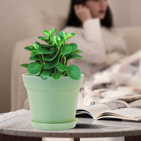WOUSIWER easy repotting setup for indoor gardens