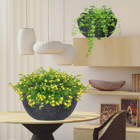 WOUSIWER gift-ready hanging planter set for plant lovers and home décor