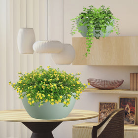 WOUSIWER decorative planter setup complements porches and living spaces beautifully