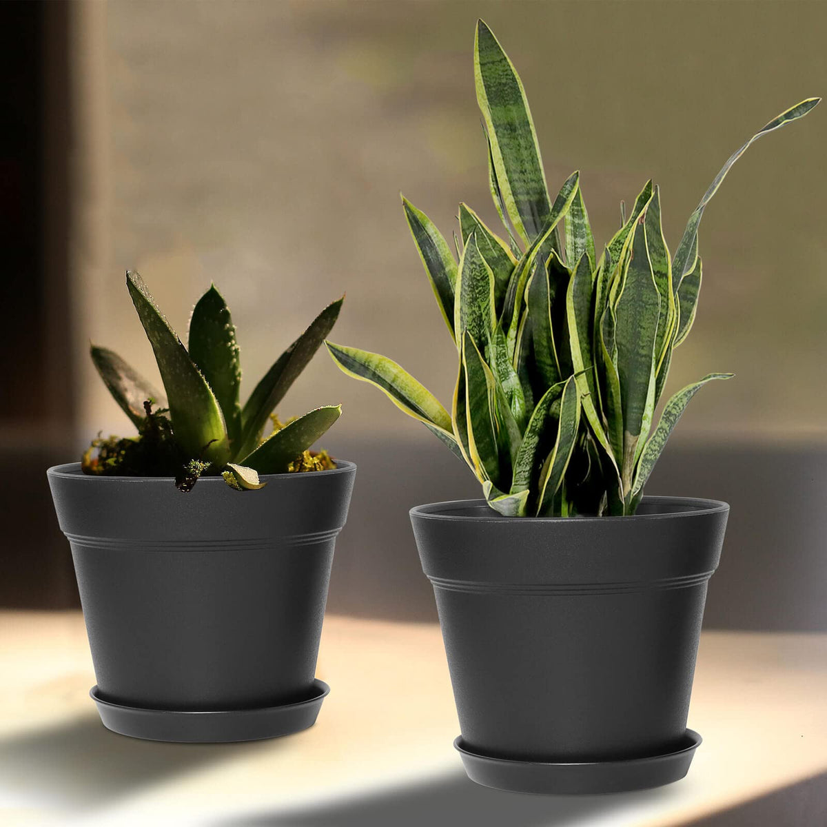 WOUSIWER indoor garden pots suitable for orchids and succulents