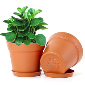 WOUSIWER indoor garden setup enhances any room, patio, or office.