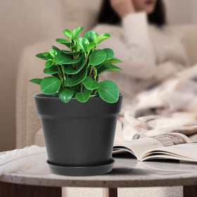 WOUSIWER matte finish planters add modern style to homes and offices