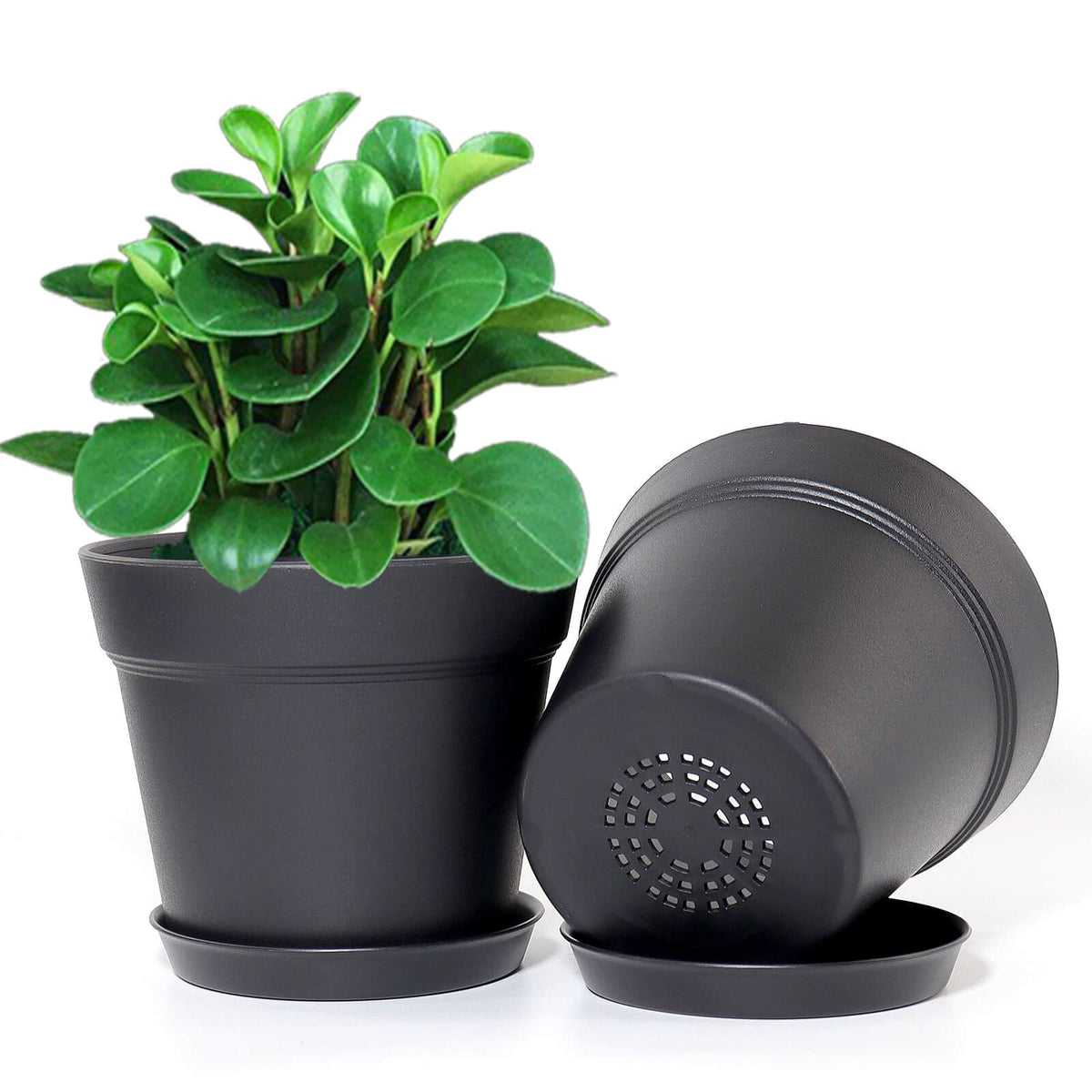 WOUSIWER planter trays set catches excess water and protects surfaces