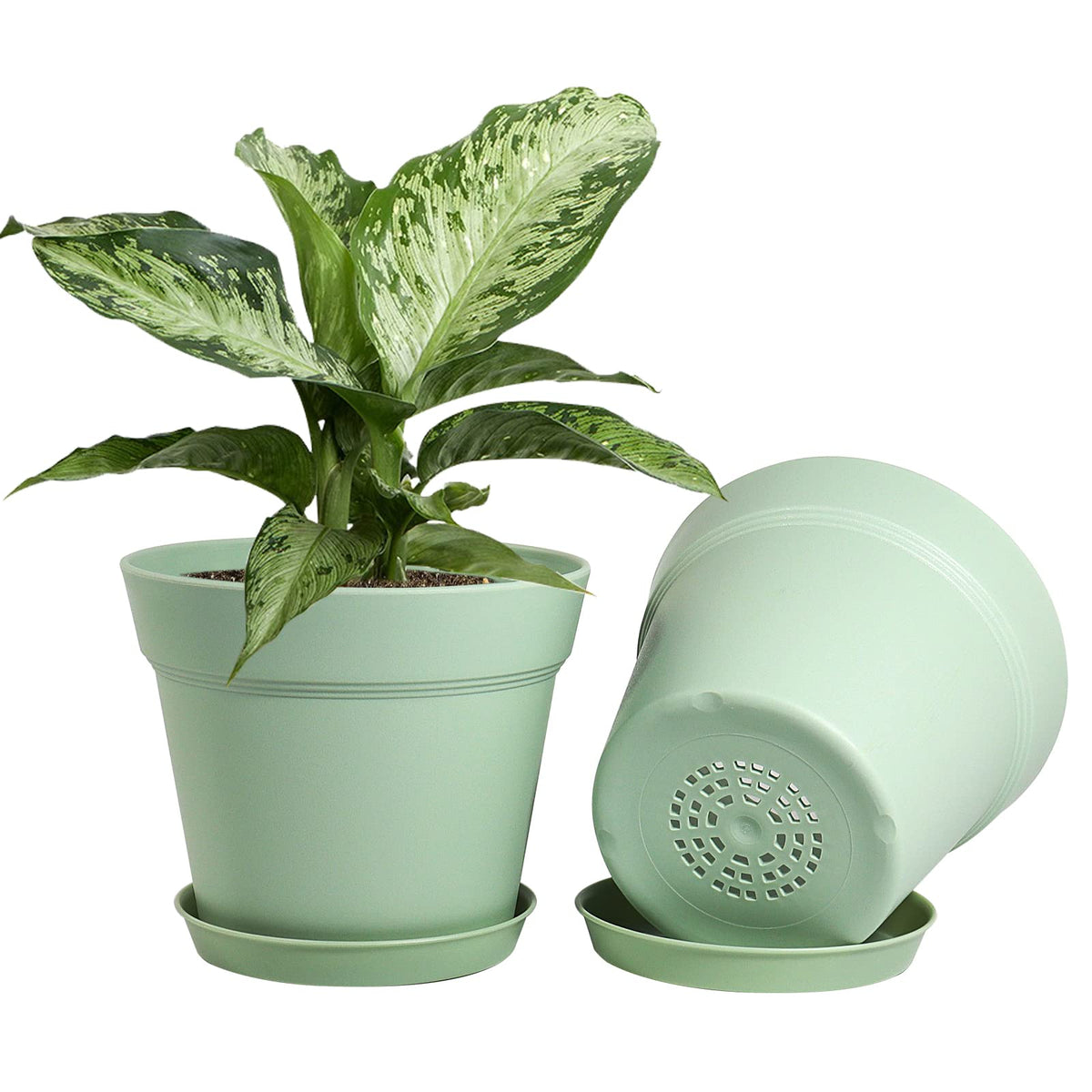 WOUSIWER saucer trays included keep surfaces clean and prevent spills