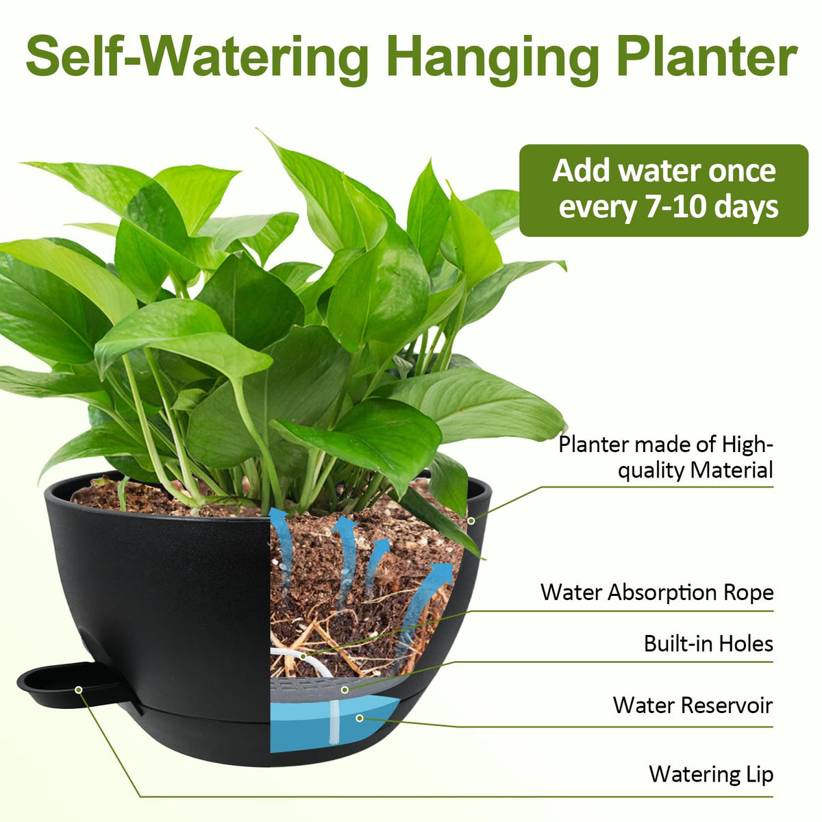 WOUSIWER indoor decor shot with herbs highlights versatile placement and simple care