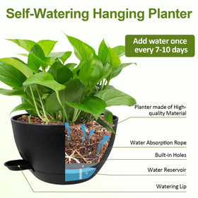 WOUSIWER indoor decor shot with herbs highlights versatile placement and simple care