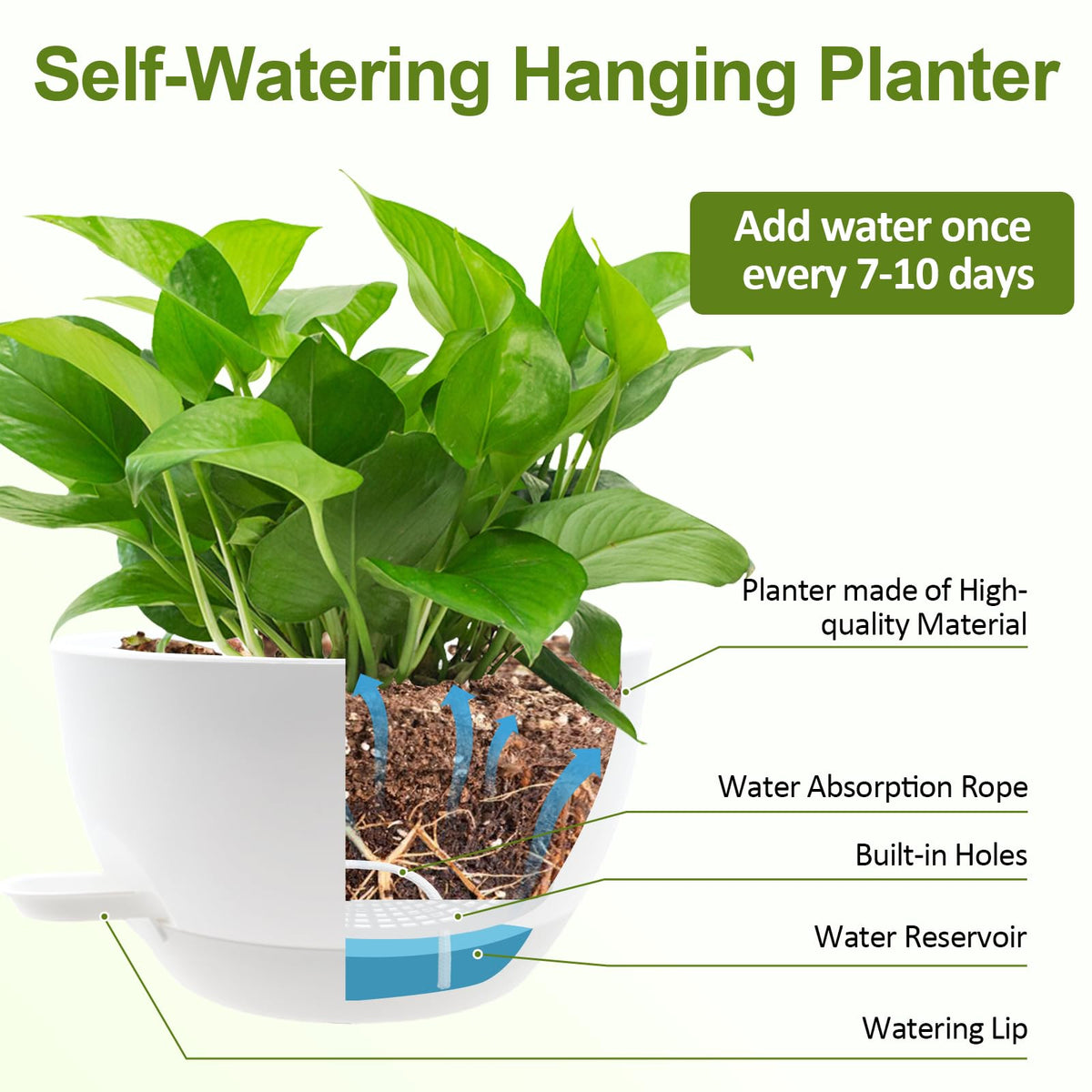 WOUSIWER white hanging planters enhance greenery in kitchens and living spaces.