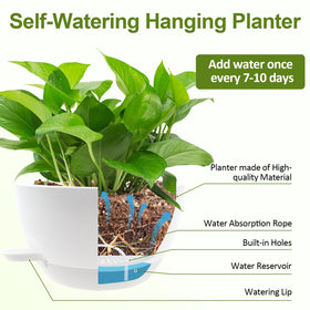 WOUSIWER white hanging planters enhance greenery in kitchens and living spaces.