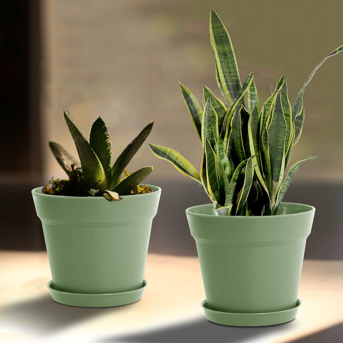 WOUSIWER 6-inch planters with drainage holes suitable for orchids, succulents, and more