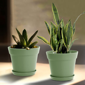 WOUSIWER 6-inch planters with drainage holes suitable for orchids, succulents, and more