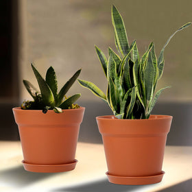 WOUSIWER windowsill setup with planters and trays for compact gardening.
