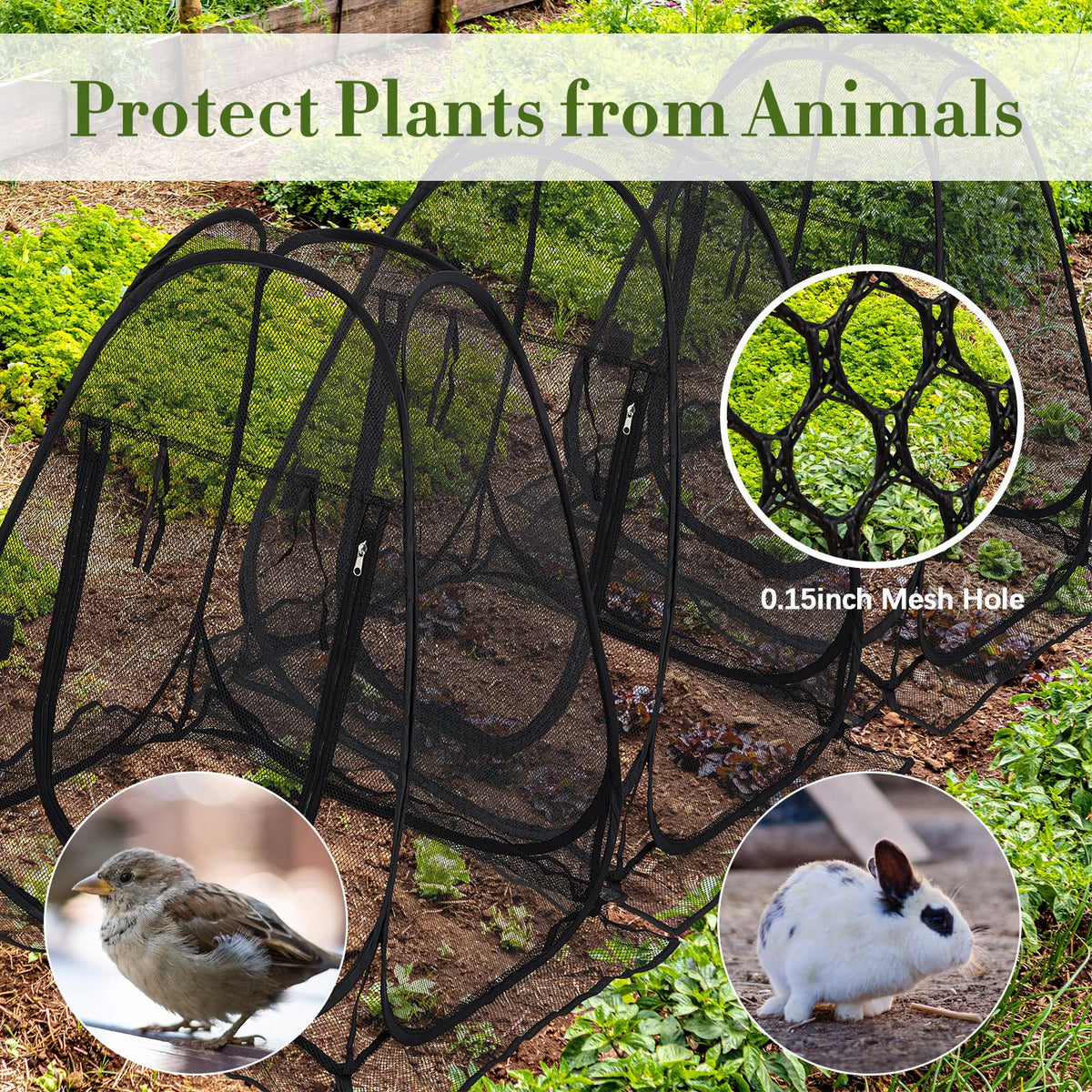 Wowangce six-pack protectors shield flowers, vegetables, and fruits in beds.