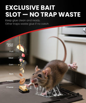 WowCatch extra sticky glue trap close-up highlights durable adhesive