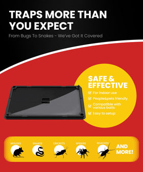 WowCatch safe non-toxic indoor use around children and pets