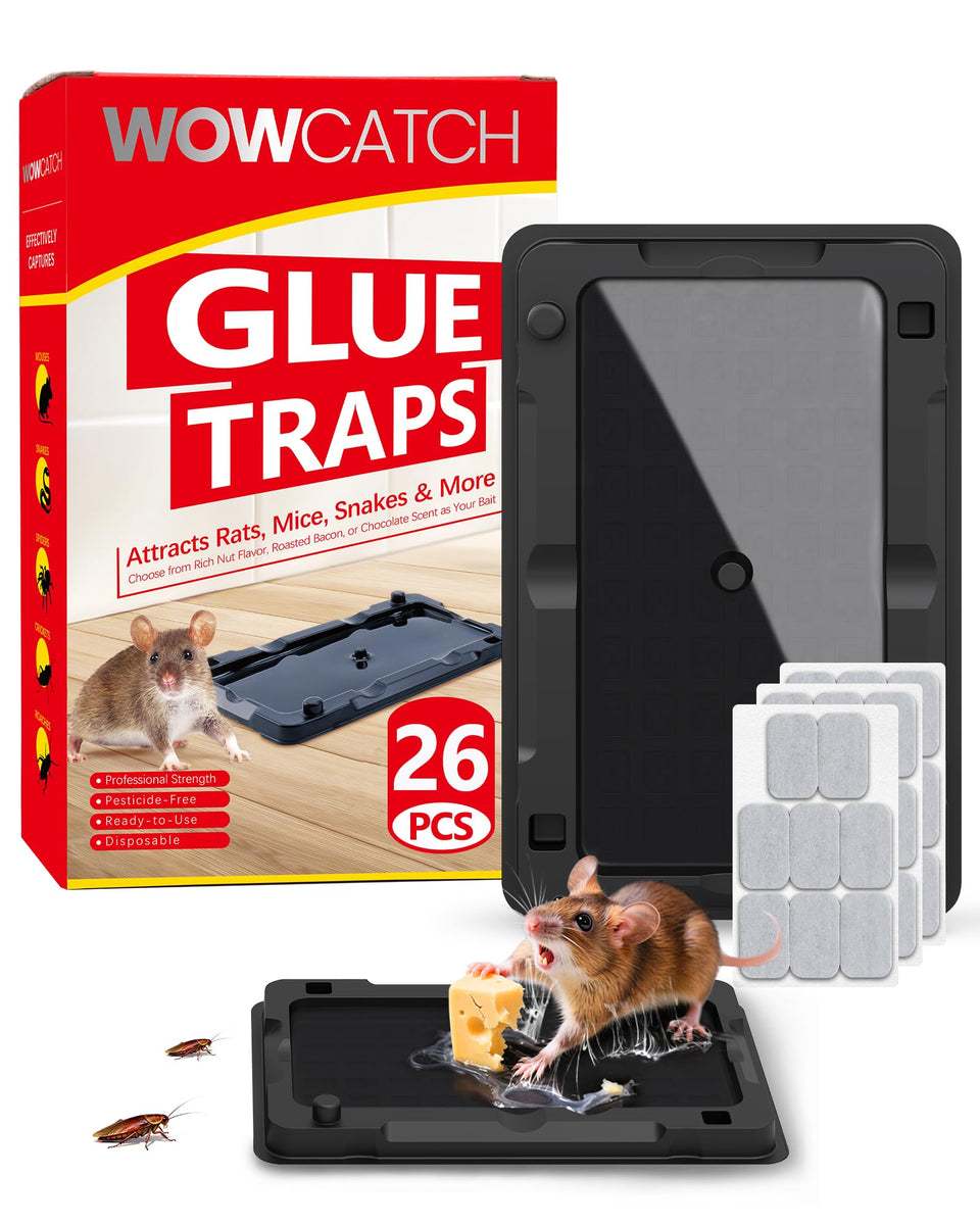 WowCatch sticky mouse traps indoor glue board for reliable pest control