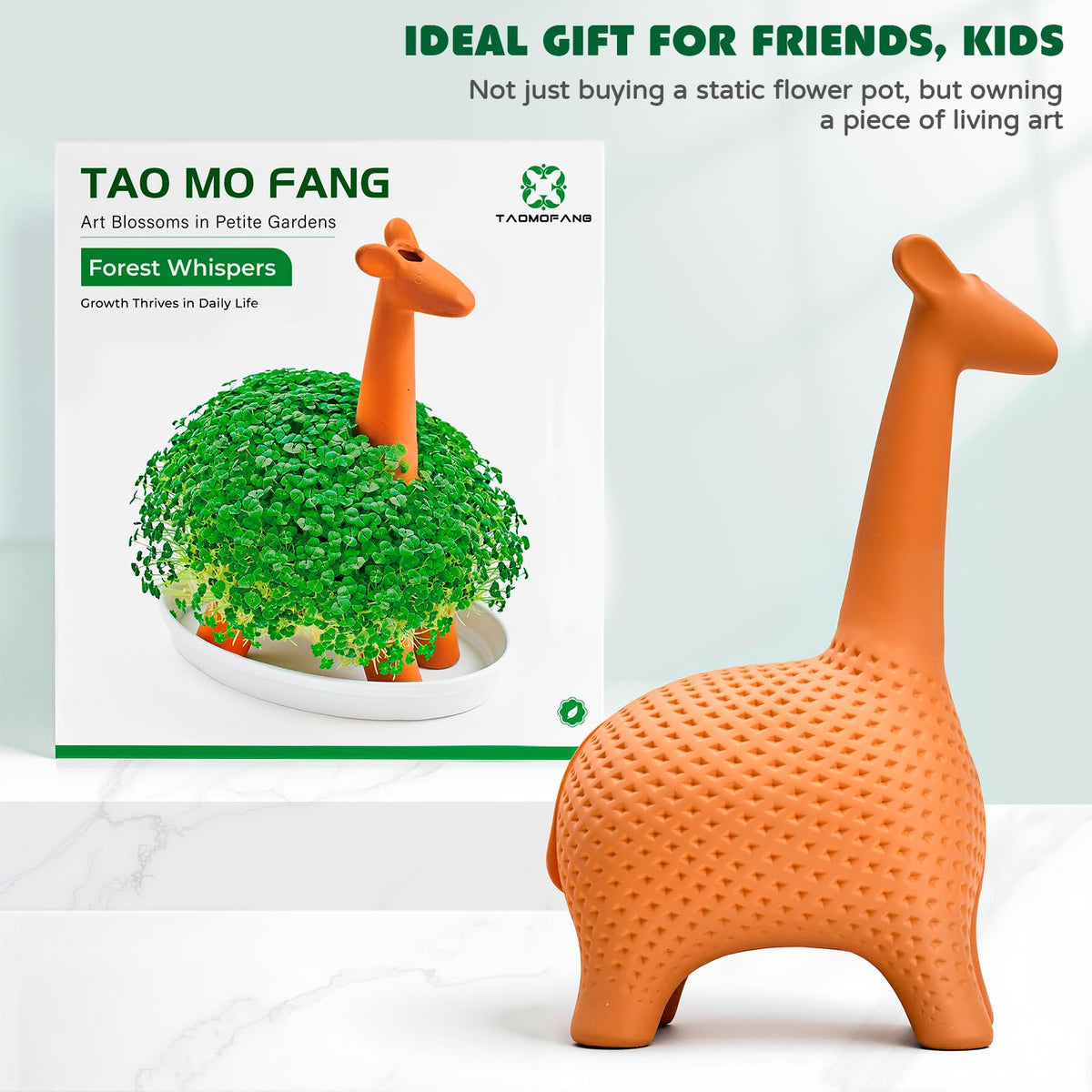 WOWMVP gift packaging presentation showcases a delightful novelty gift for plant lovers