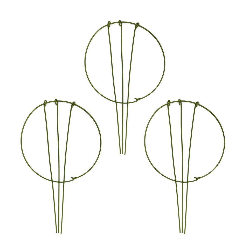 Wowoda garden plant support ring with 10 inch diameter blending with greenery to support climbing plants