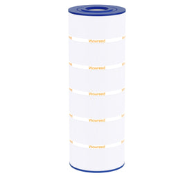Wowreed filter compatible with SwimClear C200S for quick replacement.