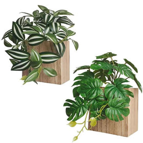 WOYOO artificial plant wall hanging makes a thoughtful housewarming gift idea