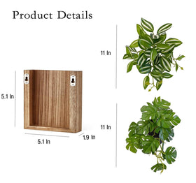 WOYOO small wall hanging greenery provides compact vertical interest