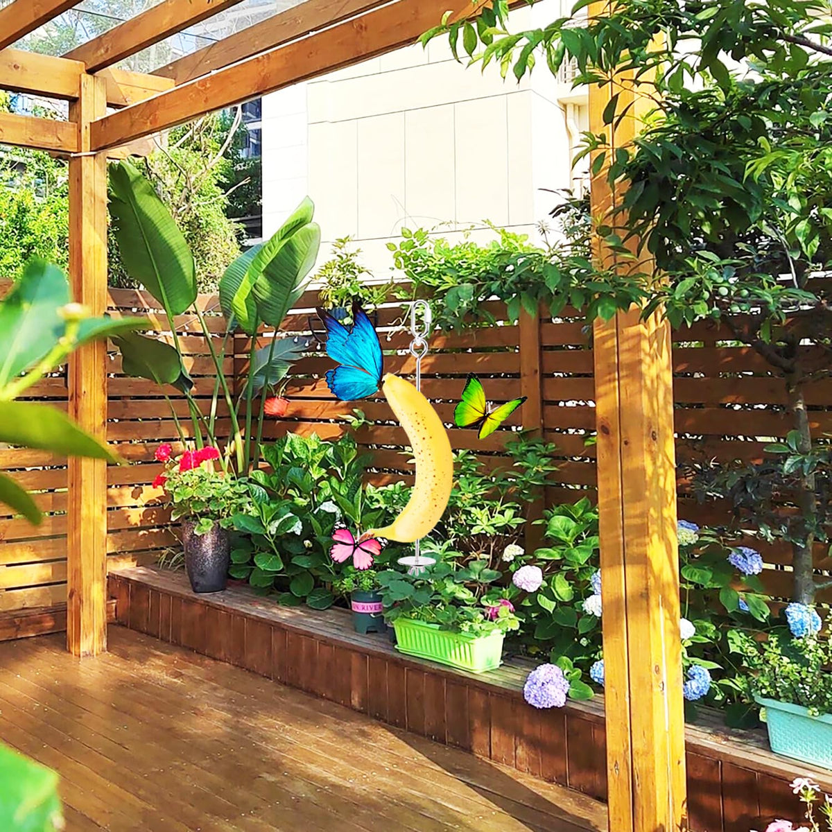 WoYous butterfly-attracting fruit display adds color and life to your garden.