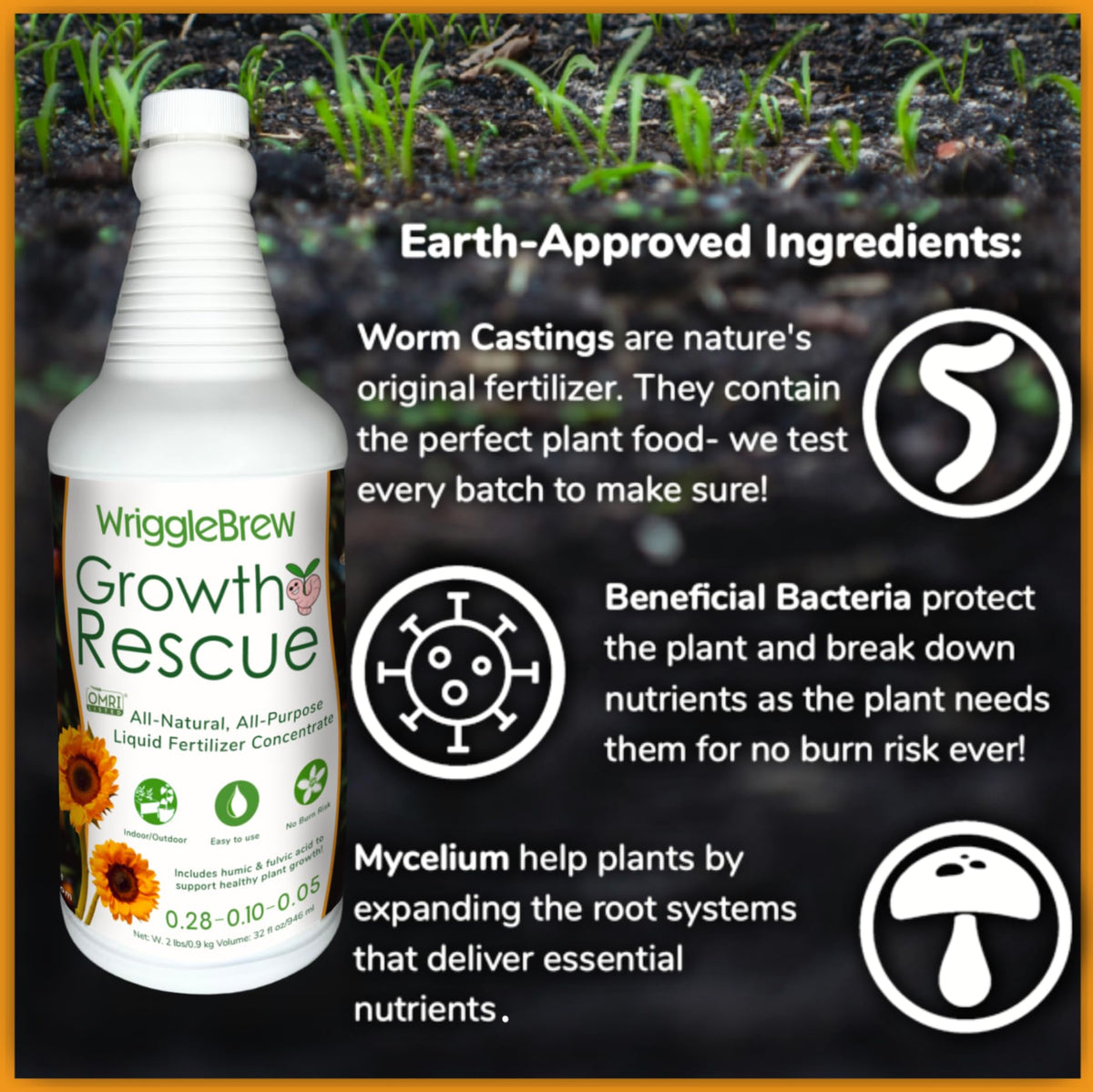 WriggleBrew applied to ornamental flowers for steady feeding.