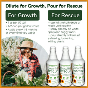 WriggleBrew used with houseplants, providing safe nourishment.