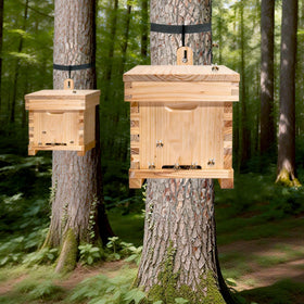 WSBXBB nail-free hive hanger shown on a tree trunk.