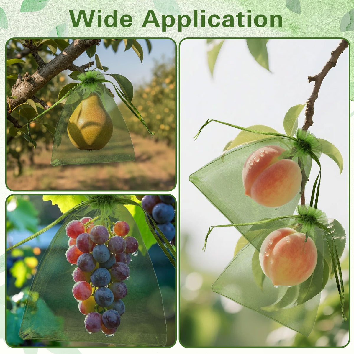 WSepascI fruit-protection-bags-6x9-green helps reduce fruit damage from birds.