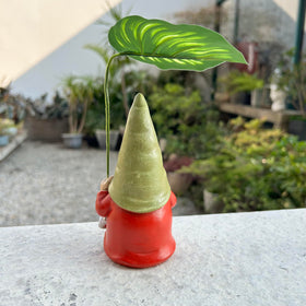 WSHMZYHOME garden gnome between plants for charm