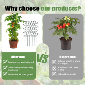Wshxjzyay Tomato Twist Stake spiral enables vertical growth in compact spaces.